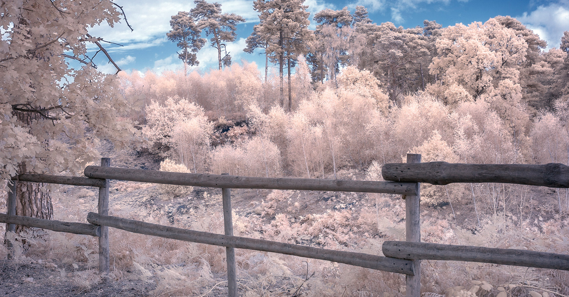 Infrared – November 2025