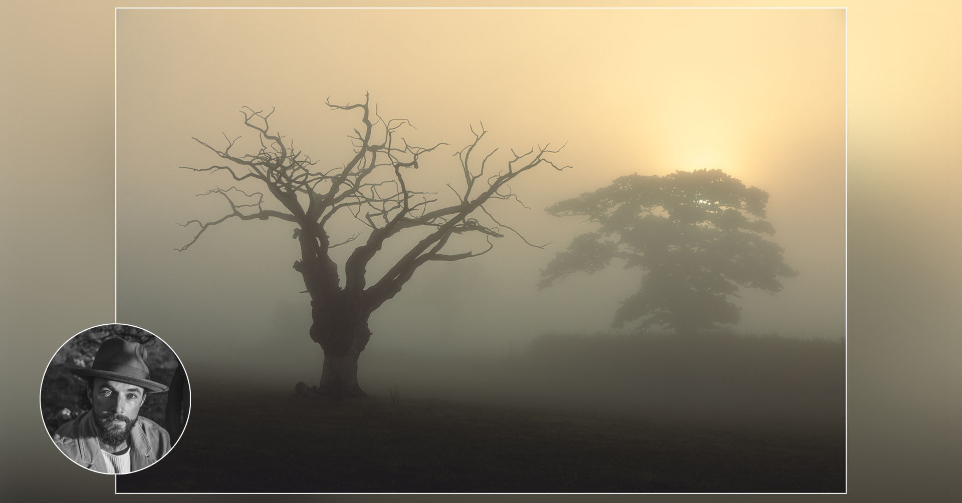 Two Trees in Fog