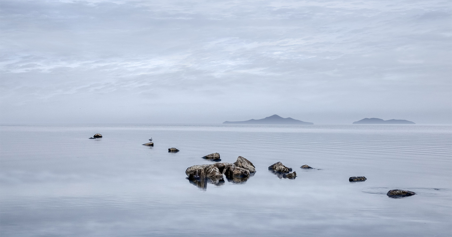 The Pastel Effect – 28th January 2026