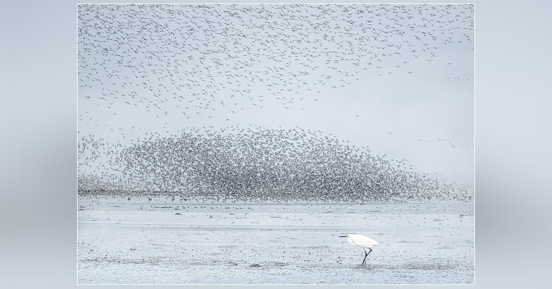 my-top-30-kevin-part-2-cover