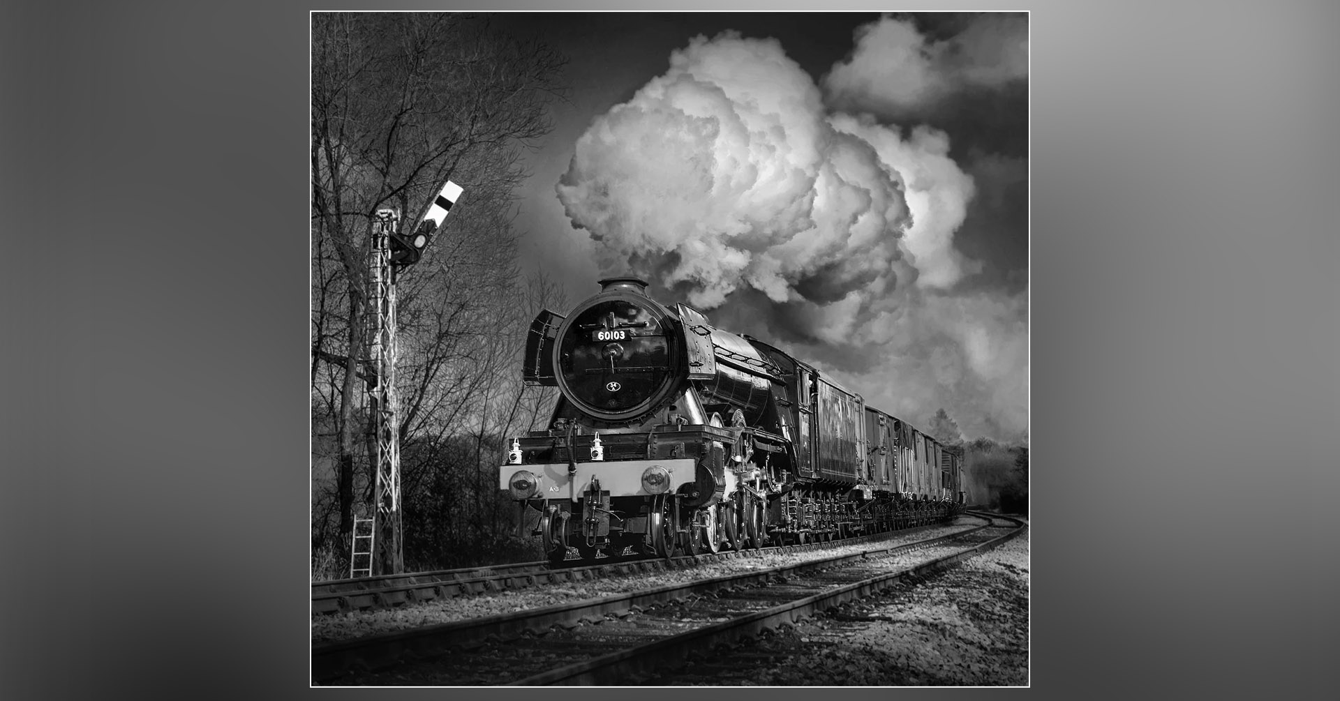 february-2026-monthly-challenge-winner