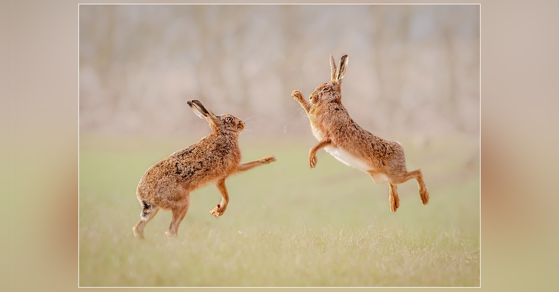 my-top-30-kevin-part-1-cover