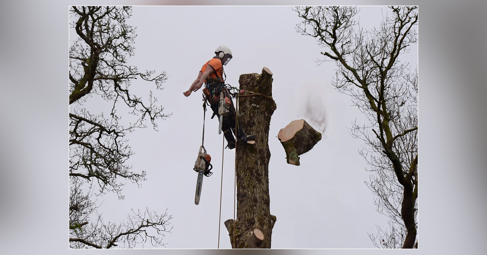 march-photo-challenge-winner-cover