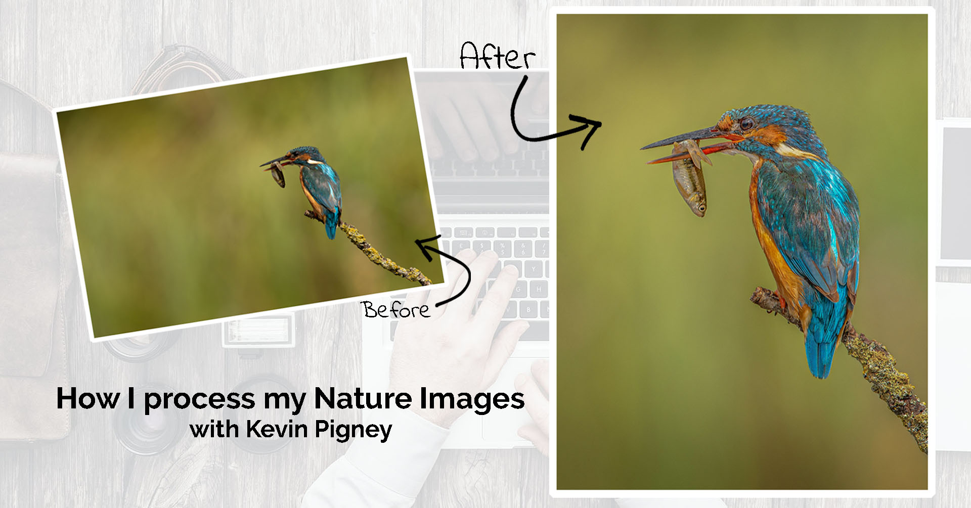 wildlife-editing-cover